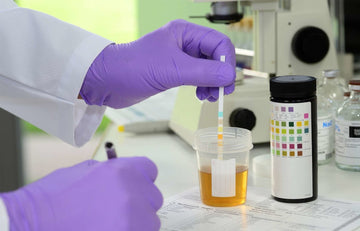 Understanding Cocaine and Cannabis: Duration in the System and Drug Testing Implications